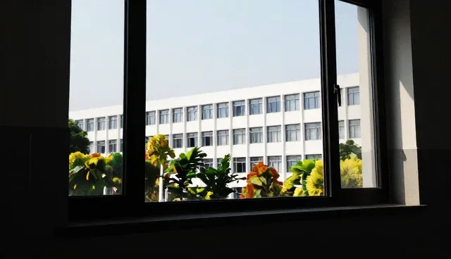 业务发展趋势中的策划要点分析及应用