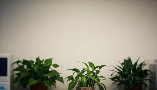 成本控制难题如何破解，财税咨询助力企业优化